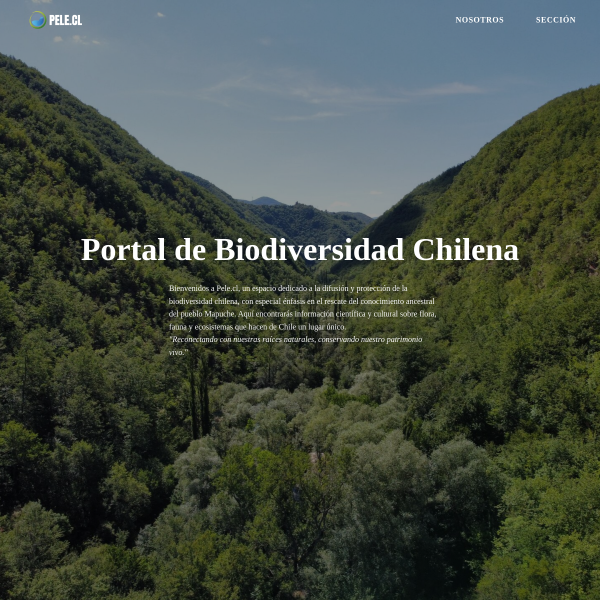 Captura del sitio Pele.cl